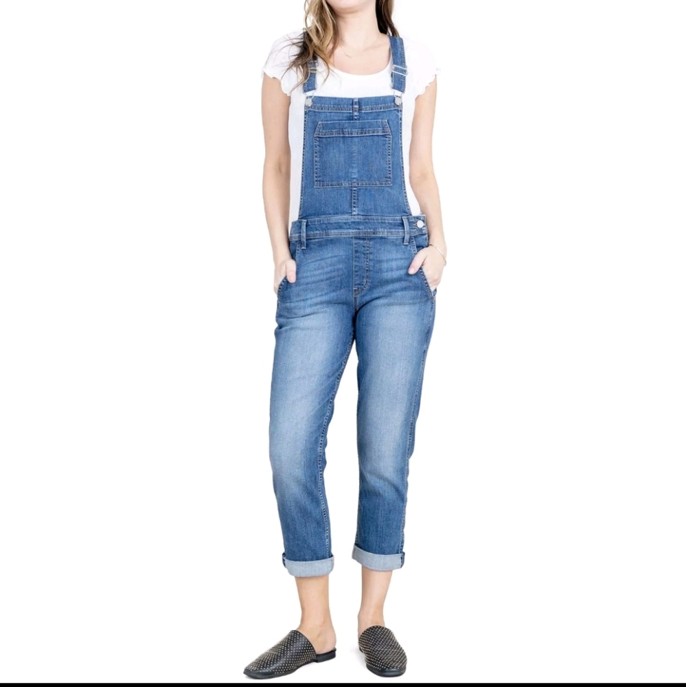 Level 99 Danica Denim Overalls 27 Medium Wash